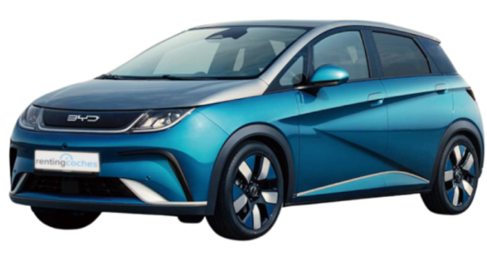 BYD Dolphin Surf