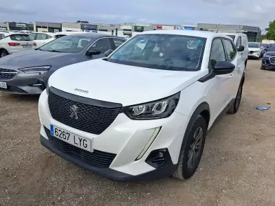 Peugeot 2008 Active Pack Bluehdi 81kw (110cv)