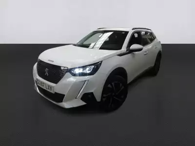 Peugeot 2008 Allure bluehdi 81kw (110cv)