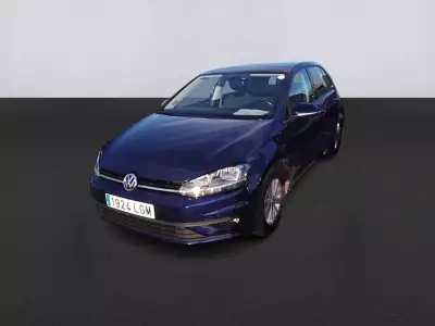 Volkswagen Golf Last edition 1.6 tdi 85kw (115cv)