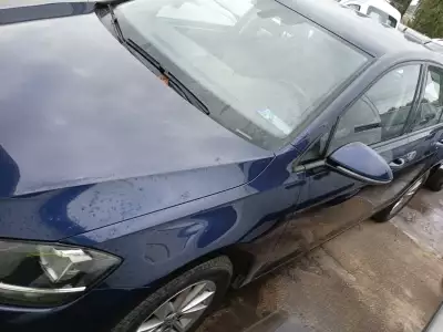 Volkswagen Golf Last edition 1.6 tdi 85kw (115cv)