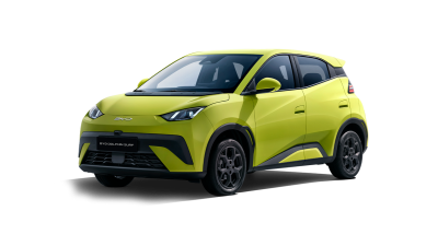 Byd Dolphin surf