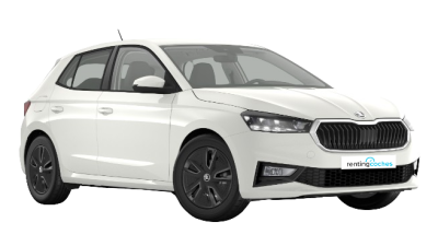 Skoda Fabia SELECTION 1.0 TSI 115 CV